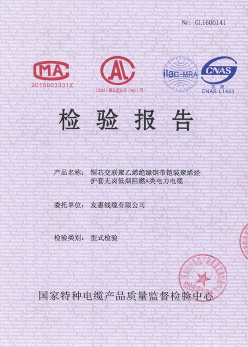检验报告