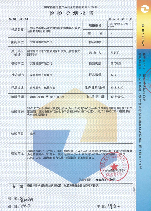 检验报告